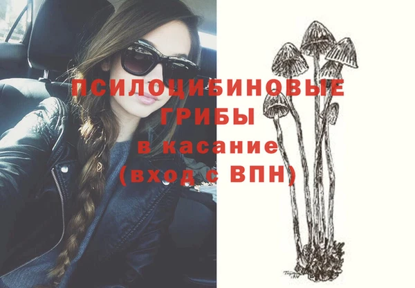винт Алексеевка