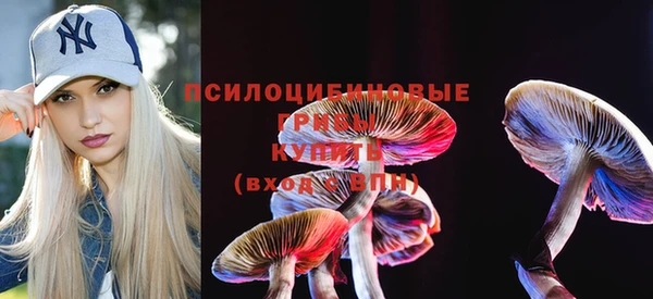 MDMA Premium VHQ Алзамай