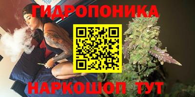 mdpv Камышлов