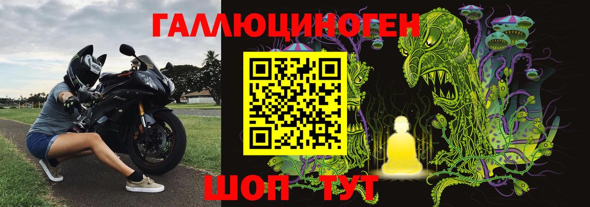 Галлюциногенные грибы Cubensis Кулебаки