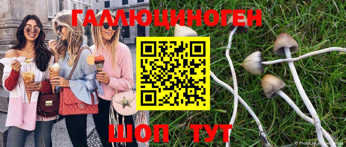 Псилоцибиновые грибы GOLDEN TEACHER  Вход с VPN  Кулебаки 